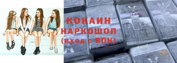винт Армянск