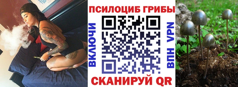 сколько стоит  Нурлат  Псилоцибиновые грибы ЛСД 